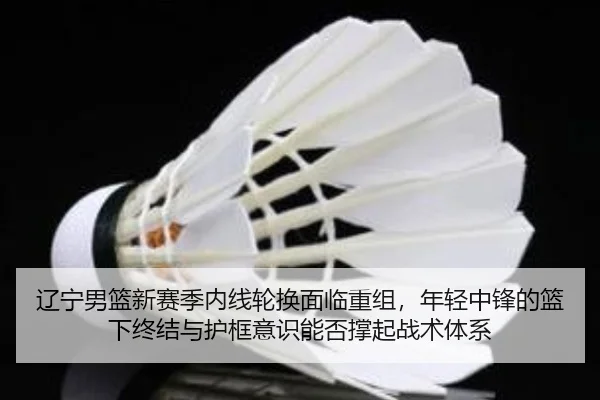 辽宁男篮新赛季内线轮换面临重组，年轻中锋的篮下终结与护框意识能否撑起战术体系